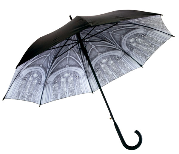 20500-wnc-auto-rain-umbrella-600.jpg